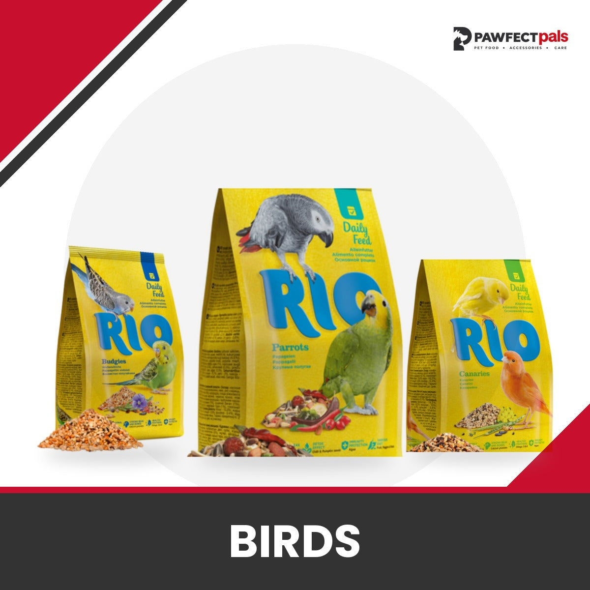 Birds