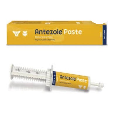 Antezole Deworming Paste 15ml