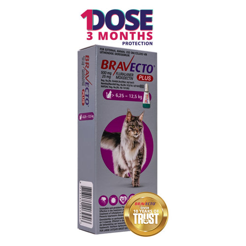 Bravecto PLUS Lrg Cat 500mg (6.25-12.5kg) Purp