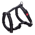 Dogs Life Webbing Harness Black