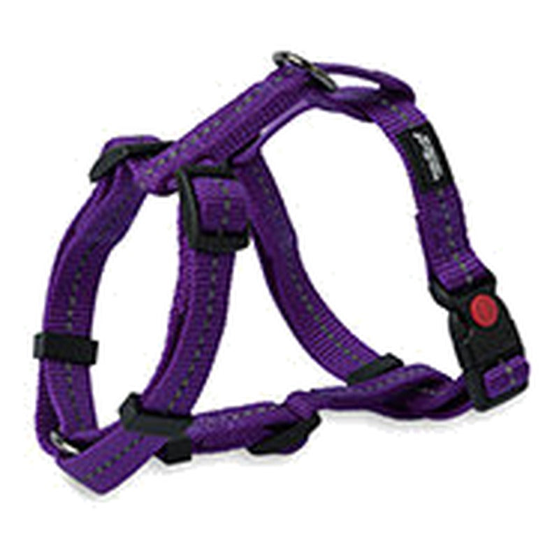 Dogs Life Webbing Harness Purple