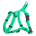 Dogs Life Webbing Harness Spring Green