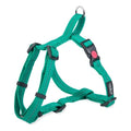 Dogs Life Webbing Harness Ultramarine Green