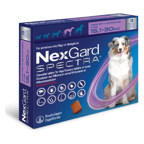 NexGard Spectra Lrg (15.1-30kg) Sgl 1' Purple