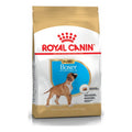 Royal Canin Boxer Puppy 12kg