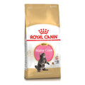 Royal Canin Maine Coon Kitten 4kg