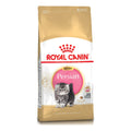 Royal Canin Persian Kitten 4kg