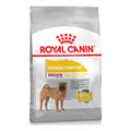 Royal Canin Dermacomfort Medium 3kg