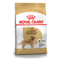 Royal Canin Golden Retriever Adult 12kg