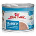 Royal Canin Starter Mousse Can (Wet) 12x195g